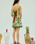 Fiesta Mini Dress Dresses Alèmais