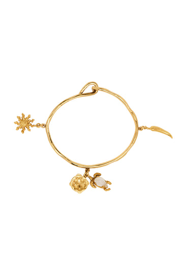 Encanto Collector Charm Bangle Gold- Preorder Bracelets Alèmais   