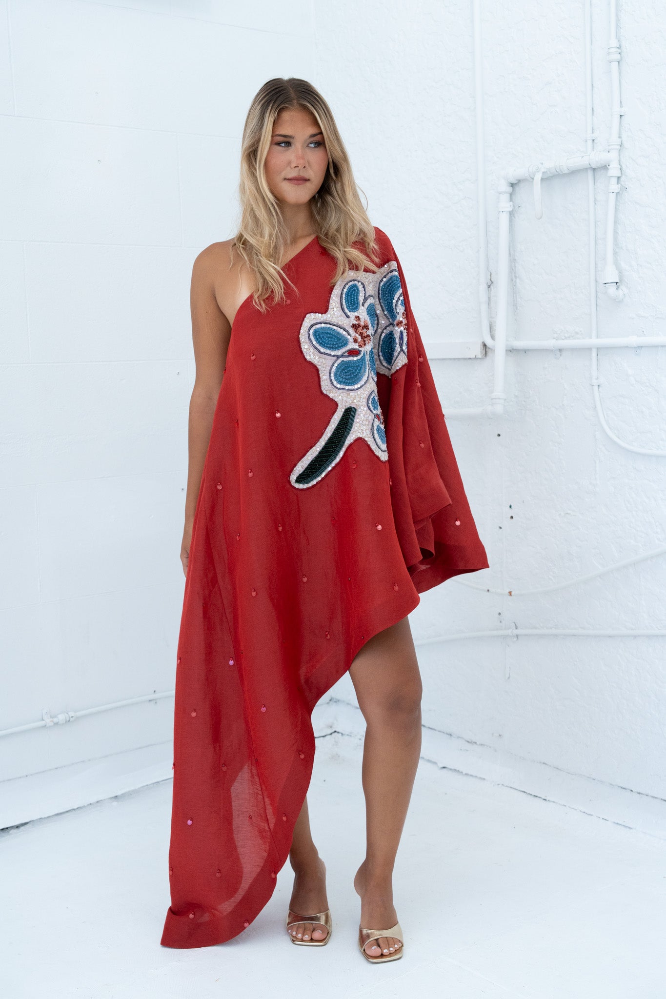 Scarlet Embellished Asymmetric Gown Dresses Alèmais